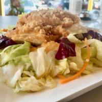 chicken Salad · house special dressing; lettuce; shredded carrots; red cabbage
come with peanuts.