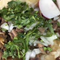 Carne Asada · Served with salsa, onions, and cilantro.