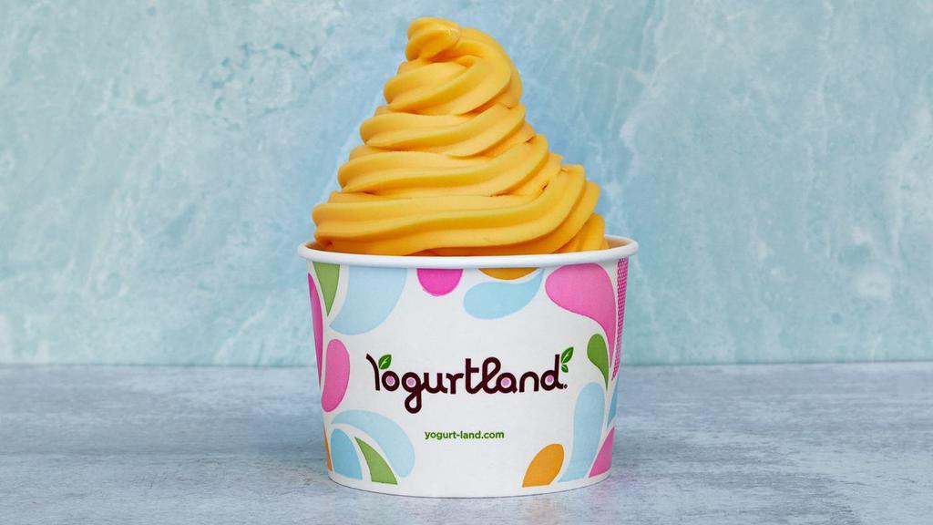 Citrus-C Sorbet · Made with REAL Tangerines and Oranges, this tangy, sweet sorbet is sure to be a crowd pleaser! The perfect flavor balance of candied tangerine and a fresh orange finish makes for a refreshingly sweet treat!