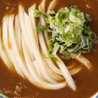 Curry · Our signature made-to-order Sanuki Udon noodles served with our savory beef curry broth