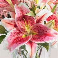 Stargazer Lily Bouquet · This sweet bouquet is an expression is the right gift for anyone. Fragrant pink Stargazer li...