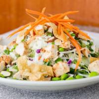 Chicken Cabbage Salad · Oven-roasted chicken breast, cabbage mix, cilantro, carrot, organic peas, scallions, toasted...