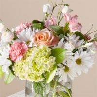 Flutter By · Peach Roses, Green Hydrangea and White Daisies arranged in a clear glass vase.