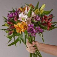 Wanna Have Sun Alstromeria Bouquet · Mixed Colored Alstromeria Lilies are wrapped in a bouquet.