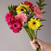Sunkissed Gerbera Bouquet · This dream of a bouquet is ready to bring a burst of summertime sunshine to any space. A blo...