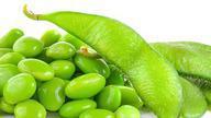 Edamame · Japanese soy beans, steamed, and light salted.