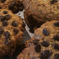 Oatmeal Chocolate Chipper Cookie · full of oats, topped with ghiradelli chocolate chips