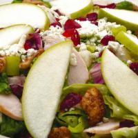 Apple Gorgonzola · Granny Smith apples, spiced walnuts, dried cranberries & Gorgonzola tossed with mixed lettuc...