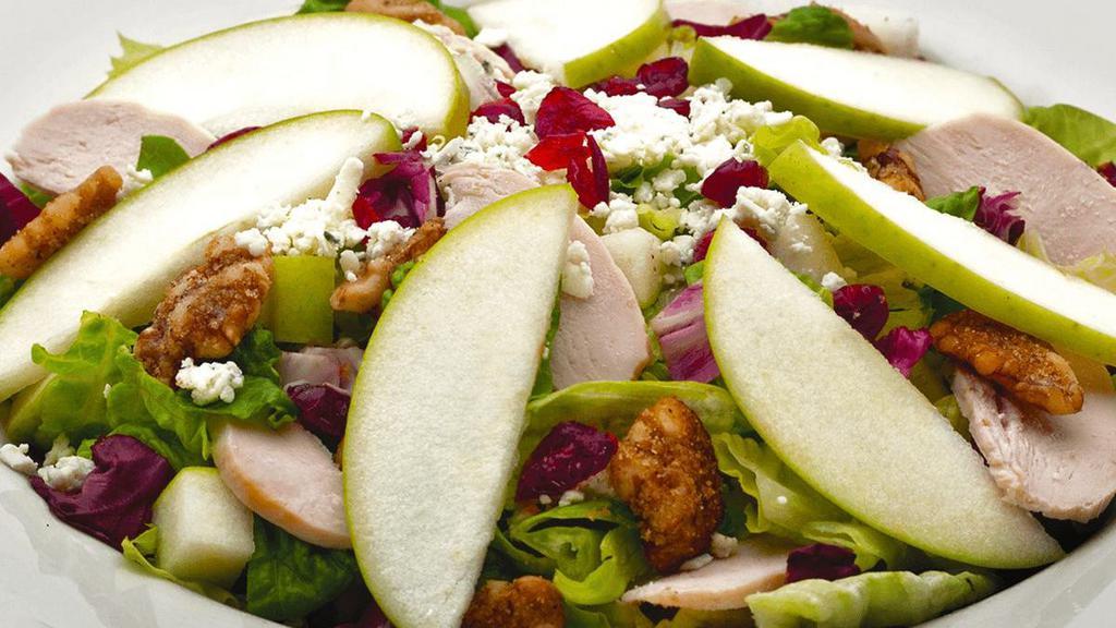 Apple Gorgonzola · Granny Smith apples, spiced walnuts, dried cranberries & Gorgonzola tossed with mixed lettuce in our signature Italian vinaigrette . {B, VT, GF}