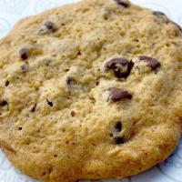 Chocolate Chip Cookie · One chocolate chip cookie, freshly baked.