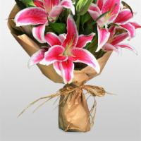 Stargazer Lilies
 · Hand-wrapped bouquet of decedent lilies available for delivery or pick-up!

Our favorite typ...