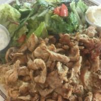 Chicken Shawarma Plate · Slices of grilled chicken shawarma served with rice pilaf, salad, tzatziki, and garlic sauce.