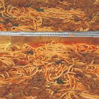 Half Tray Spaghetti Bolognese · Serves 6-8 people