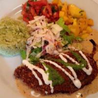 Mole Poblano · Served with grilled chicken breast, salsa fresca, guacamole, poblano sauce, rice and refried...