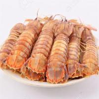 Mantis Shrimp / 皮皮虾 · 