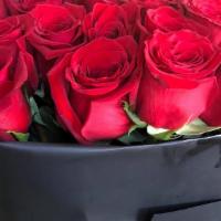 Dozen Mix Color Roses Bouquet · 12 Mix Color Roses bouquets no vase included