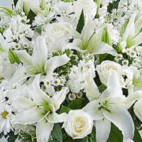 All White Flowers in a Vase · All White Vase seasonal flowers all in white. Roses lilies mums etc...