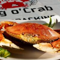 Dungeness crab · 