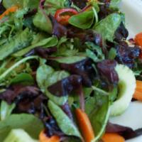 Organic Mix Green Salad · Organic mix of green salad, served with Shangrila style Italian dressing.