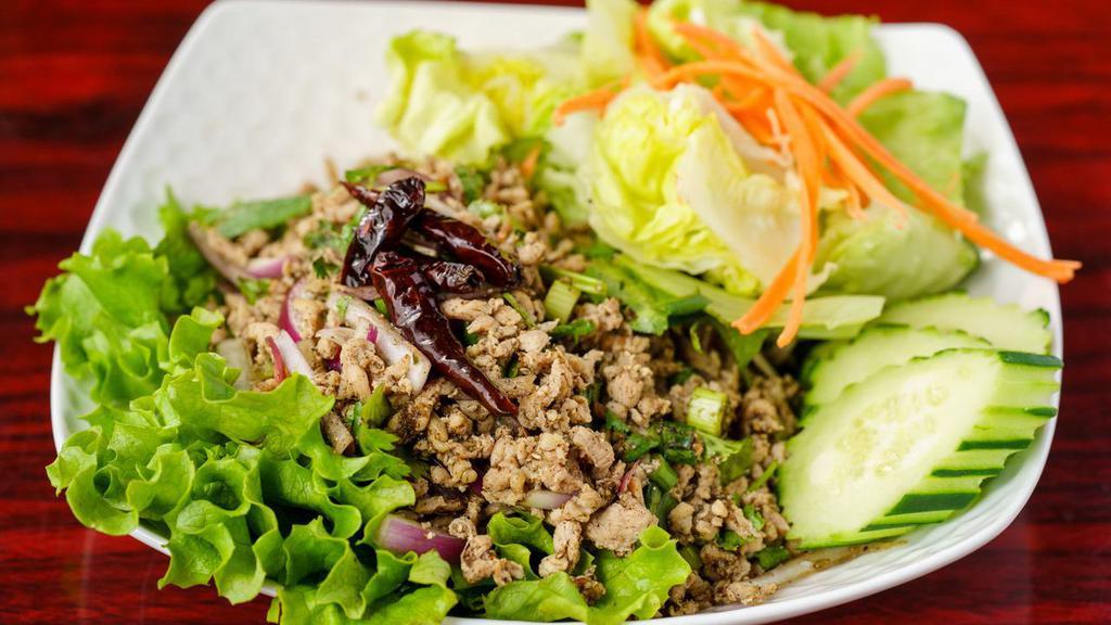 Larb Tao Hoo (Tofu Salad) · Spicy. Fried tofu with red onions, mint leaves, cilantro, and roasted rice in lime dressing.