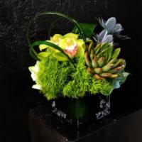 Cambria · 4x4 cube of cooler colors like greens and blues featuring hydrangea, orchid blooms, a succul...