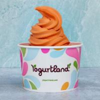 Plant-Based Big Pop Sorbet · We ditched the stick from the most celebrated ice cream truck treat of your childhood. This ...
