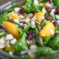 Spa · Spinach, kale, orange slices, red onion, dried cherries, goat cheese, and sliced almonds. Ch...