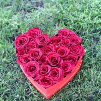 Red Roses Heart Box · Red roses in a heart shaped box.