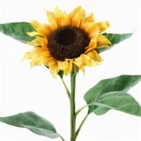 Sunflower Each · Seasonal options may vary throughout the year and depending on location. Our florist will pr...