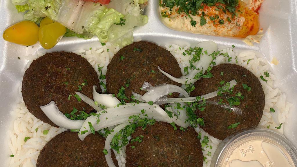 Falafel Plate · 5 falafel pieces with rice, hummus, salad, pickles and pita.