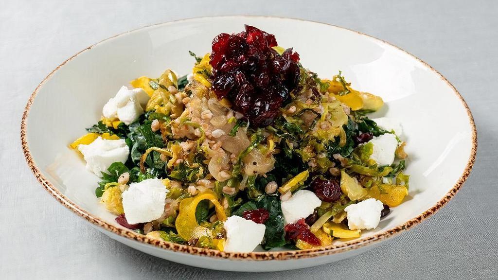 Grain Bowl · warm farro, massaged kale, roasted delicata squash, honey walnuts and Brussels sprouts, goat cheese, pickled cranberries