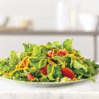 Garden Side Salad · Chopped fresh lettuce with diced tomatoes and shredded cheddar cheese. Served with choice of...