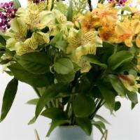 Vibrant Energy · Alstroemeria and filler flowers (Color will change based on availability)
(Vase type will ch...