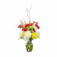 Graceful Humility · Hydrangeas, daisies, carnations and greens.


Substitution Policy: Substitution of flowers m...