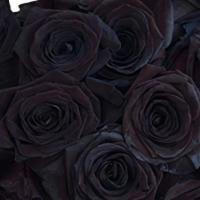 The Gothic Romance · All black 12  roses wrapped in our black paper. 
Each arrangement includes a  card with a ty...