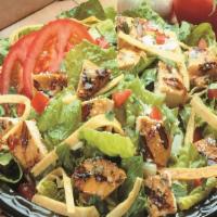 Fiesta Ensalada · Spring mix greens, Parmesan cheese, tortilla strips, tomatoes and you choice of protein.