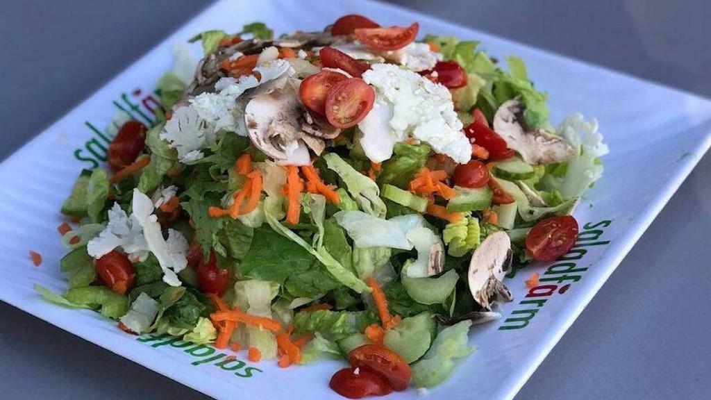 Garden Salad · Crisp romaine hearts, grape tomatoes, persian cucumbers julienne cut carrots, shaved cauliflower, chopped celery, mushroom and served with low calorie Italian dressing.