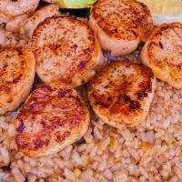 Scallops · Grilled Scallops
