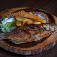 Mojarra Frita · Deep fried whole fish served with rice, beans, salad and tortillas.