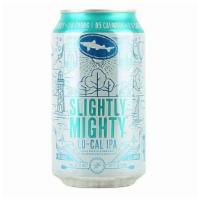 Dogfish Head Slightly Mighty · IPA - Session