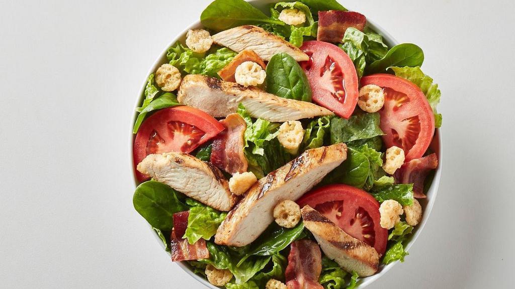 Beach Club  · grilled chicken, bacon, tomatoes & parmesan crisps on a bed of romaine and spinach & served with salsa ranch dressing.