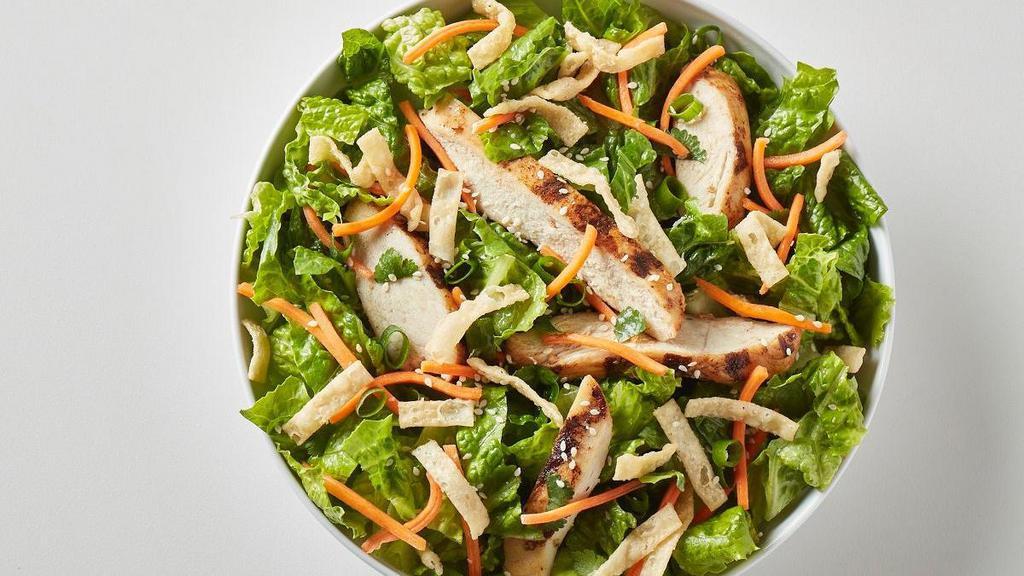 Thai Chicken · grilled chicken, carrots, sesame seeds, cilantro, scallions & wontons on a bed of romaine & served with thai peanut dressing.