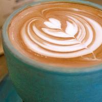 Vanilla Latte - Vanilla Latte · *Espresso, *House-made Vanilla Bean Syrup, *Plant Milk of choice.* OrganicInsight Coffee Roa...
