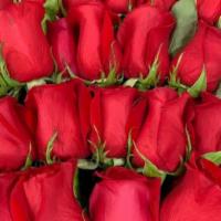 One Dozen Love Rose Bouquet · One dozen long stem red Ecuadorian roses