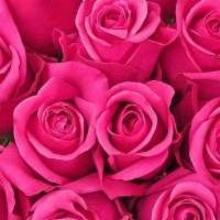 24 Roses (Two Dozen Stems)  · Designers choice of red ,pink or white Equadorian roses