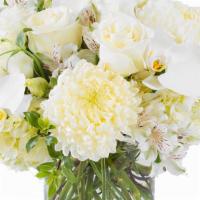 Serenity · A white wonderland featuring hydrangeas, premium roses, phalaenopsis orchids, chrysanthemum,...