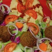 Falafel Plate · With salad, hummus, tahini, pita.