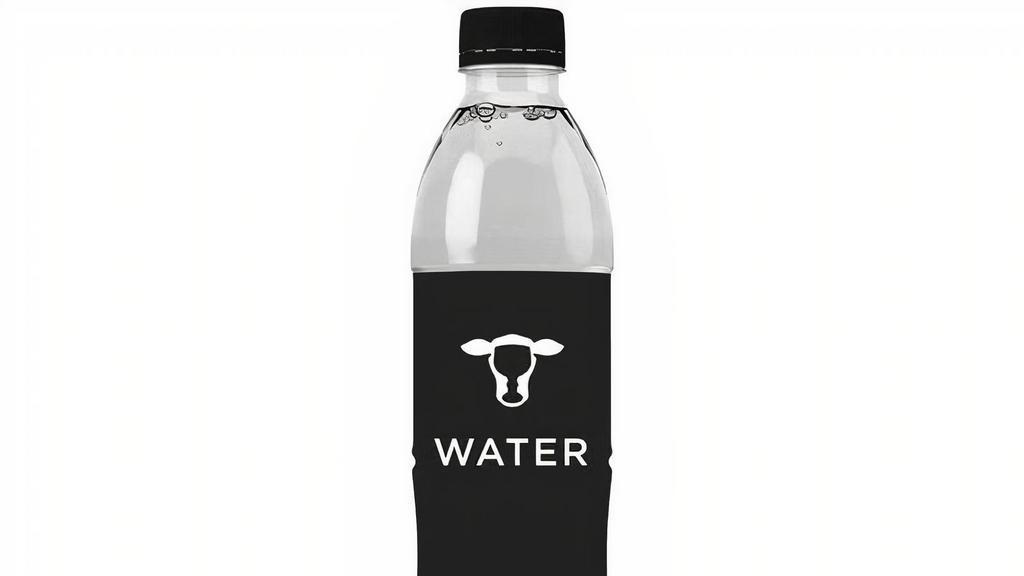 Bottled Sparkling Water · 