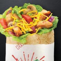 Kids Chicken · The kids chicken pita comes with grilled white meat chicken breast and your choice of three ...