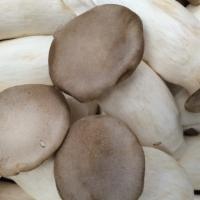 King Oyster Mushroom · 1 LB